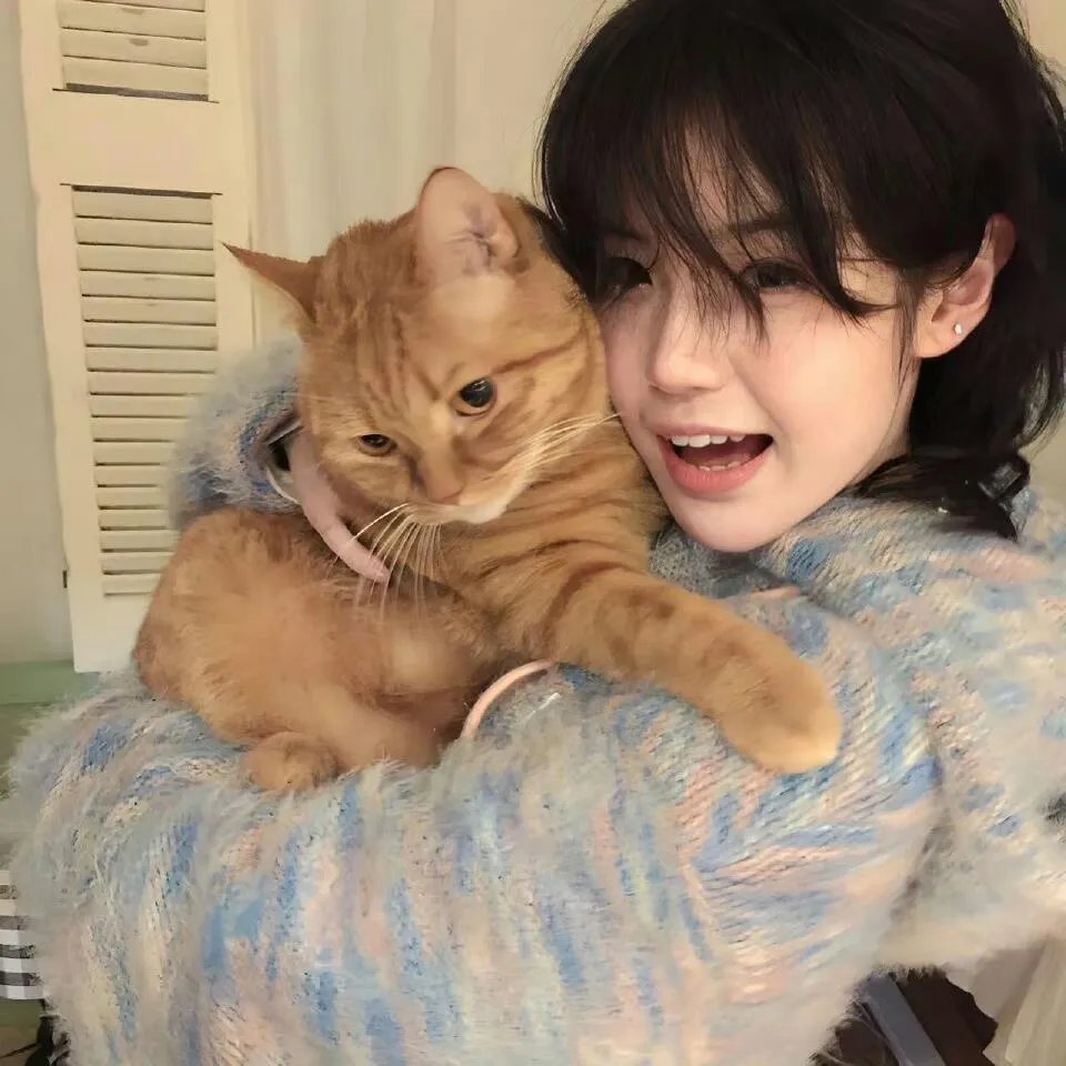 火山:法卡里营救