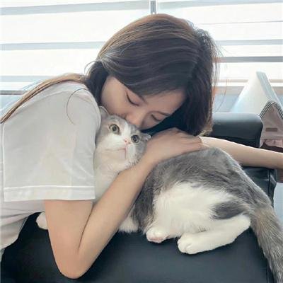 十四孤儿闯江湖